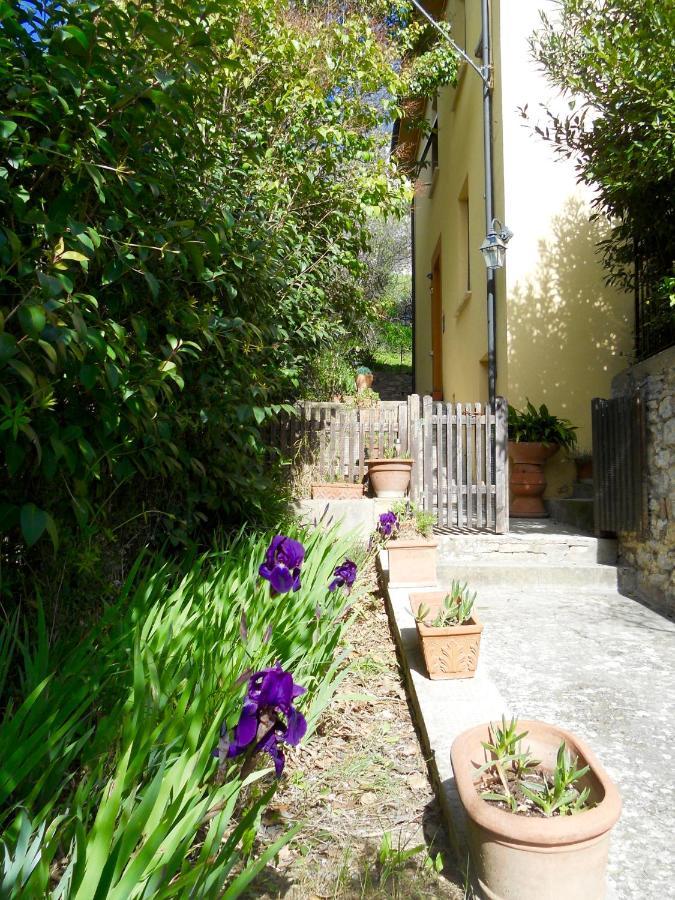 Villa Lucrezia - Dimora In Suvereto Suites&Apartments Exterior photo