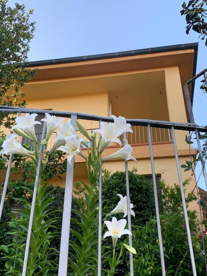 Villa Lucrezia - Dimora In Suvereto Suites&Apartments Exterior photo