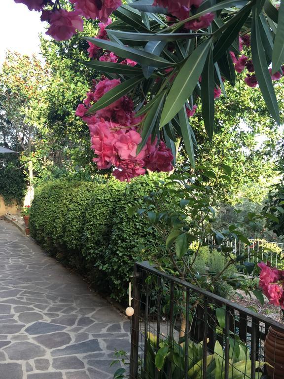 Villa Lucrezia - Dimora In Suvereto Suites&Apartments Exterior photo