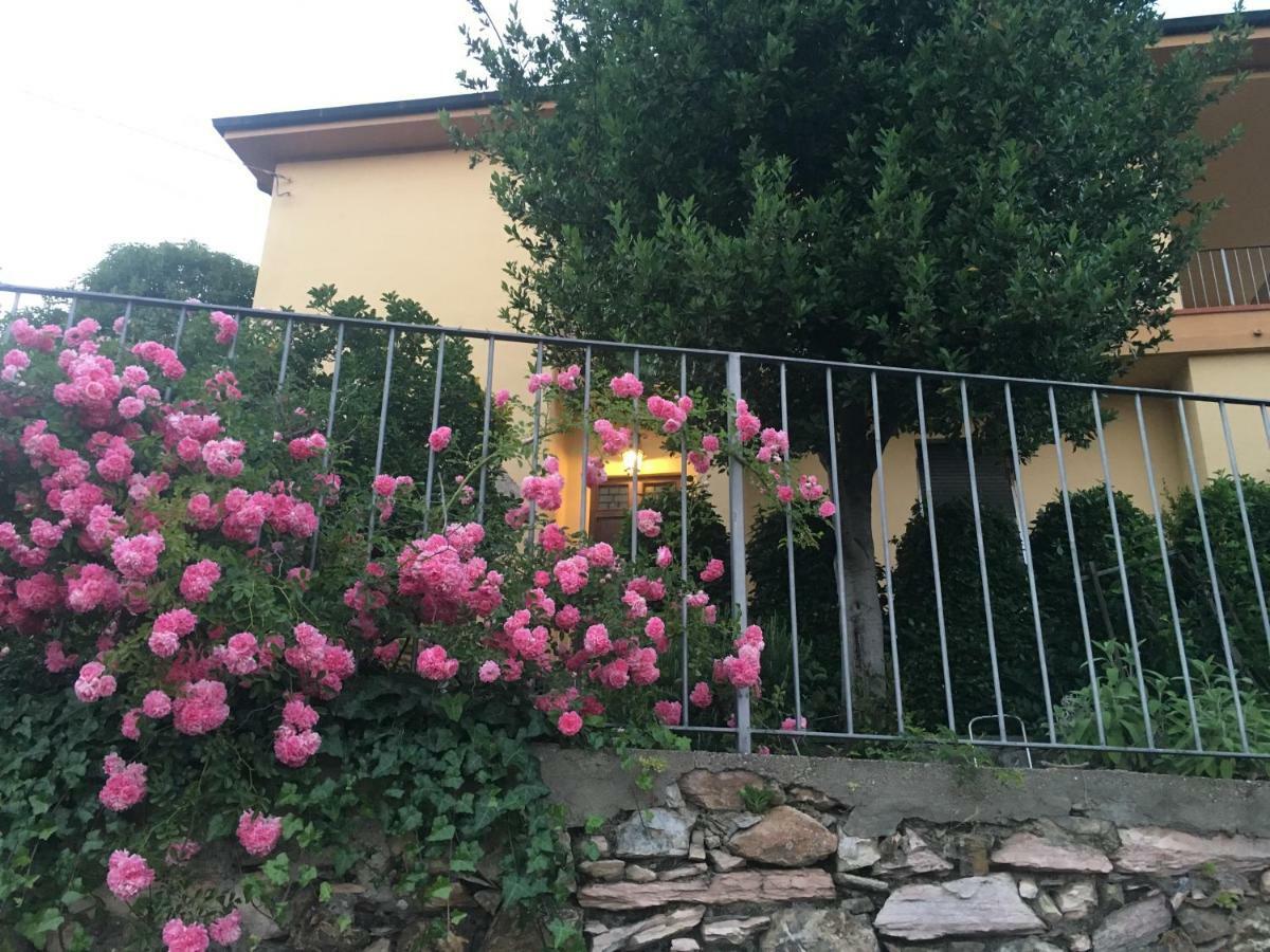 Villa Lucrezia - Dimora In Suvereto Suites&Apartments Exterior photo