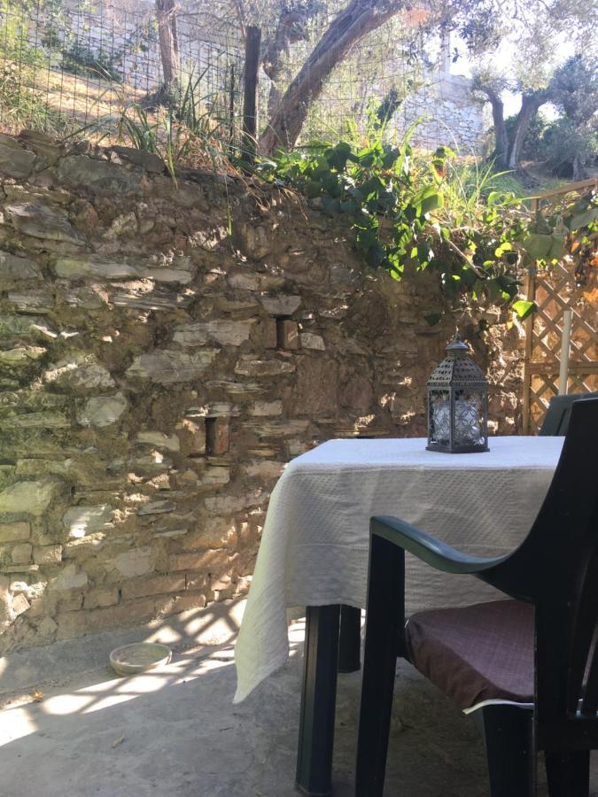 Villa Lucrezia - Dimora In Suvereto Suites&Apartments Exterior photo